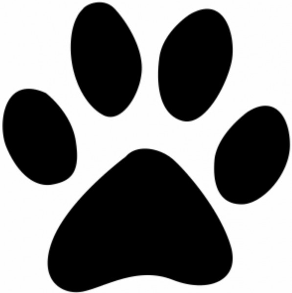 Paw Print Loyalty Card Stamp - 11x11mm